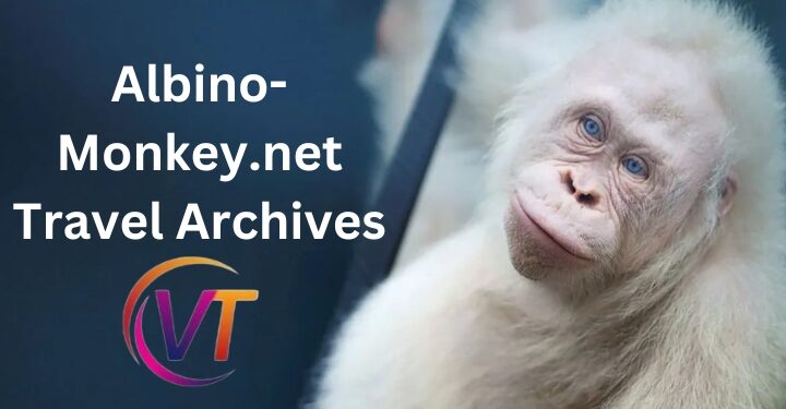 Discover Hidden Gems with Albino-Monkey.net Travel Archives