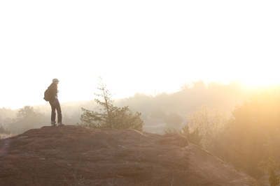 4 Foot Predator Killed by Hiker: A Survival Tale in the Wilderness