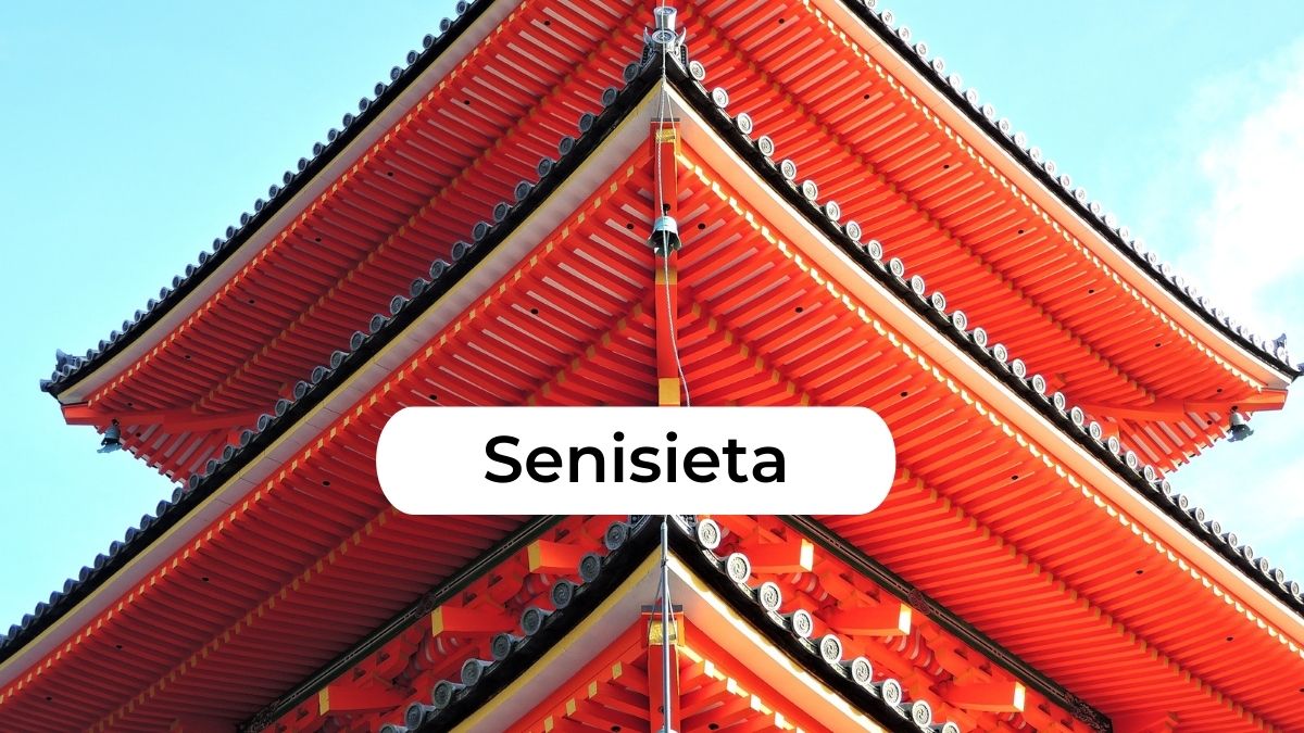 How to Make the Most of Your Senisieta Experience